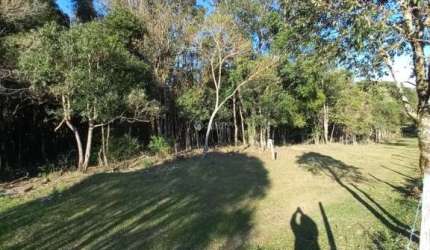 Terreno à venda na Rua Travessão Solferino, 999, Cruzeiro, Caxias do Sul, 26666 m2 por R$ 4.500.000