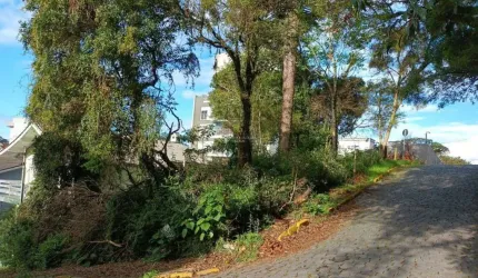 Terreno à venda na Rua Adalberon Cruz, 999, Bela Vista, Caxias do Sul, 360 m2 por R$ 300.000
