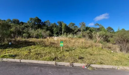 Terreno à venda na Rua Vereador Pedro Rech, 513, São Giácomo, Caxias do Sul, 318 m2 por R$ 160.000