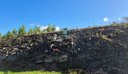 Terreno à venda na Rua Irma Pienegonda Bettega, 999, São Giácomo, Caxias do Sul, 324 m2 por R$ 160.000