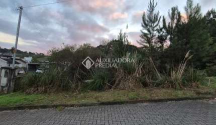 Terreno à venda na Vitorino Swaisser, 999, São Caetano, Caxias do Sul, 320 m2 por R$ 240.000