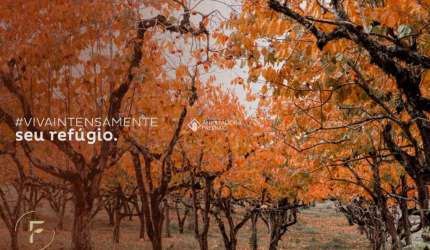 Prédio à venda na ANTONIO BENETTI SOBRINHO, 1, Mato Queimado, Gramado