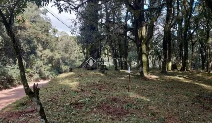 Terreno comercial à venda na Doutor Rui Vianna Rocha, 100, São Luiz, Canela, 407 m2 por R$ 309.488