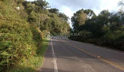 Terreno em condomínio fechado à venda na JOAO BALDASSO, 10000, Centro, Canela, 10000 m2 por R$ 7.500.000
