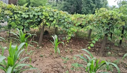 Fazenda à venda na Piauí, 95, Cecília, Viamão, 2000 m2 por R$ 268.000