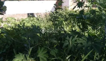 Terreno à venda na Rua Mariano de Matos, 834, Santa Tereza, Porto Alegre, 352 m2 por R$ 320.000