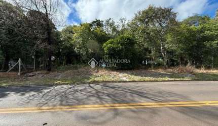 Terreno à venda na Rua Pedro Jóse Kolling, 1840, Centro, Morro Reuter, 2700 m2 por R$ 700.000