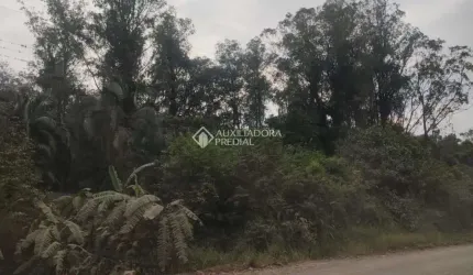 Fazenda à venda na Do Comércio, 00, Barra Do Ouro, Maquiné, 220000 m2 por R$ 700.000