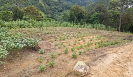 Otimo terreno - 1300 m² - Moura - Canelinha/SC