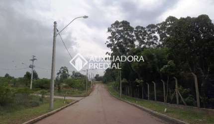 Prédio à venda na Estrada Cristiano Kraemer, 5000, Vila Nova, Porto Alegre