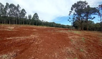 Chácara à venda, 937 m² por R$ 374.000,00 - Zona Industrial - Cascavel/PR