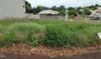 Terreno à venda, 448 m² por R$ 600.000,00 - Pacaembu - Cascavel/PR