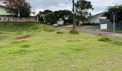 Terreno à venda, 448 m² por R$ 650.000,00 - Pacaembu - Cascavel/PR