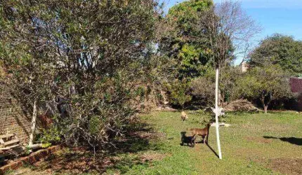 Terreno à venda, 590 m² por R$ 700.000,00 - Parque São Paulo - Cascavel/PR
