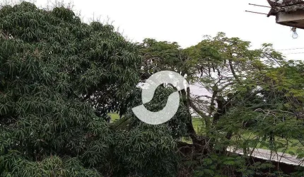Casa à venda, 286 m² por R$ 399.000.000,00 - São José do Imbassaí - Maricá/RJ