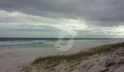 Quatro terrenos próximo a praia à venda, 1479 m² por R$ 520.000,00 - Figueira - Arraial do Cabo/RJ