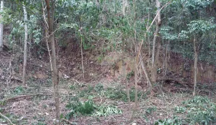 Terreno à venda, 750 m² por R$ 207.000,00 - Serra Grande - Niterói/RJ