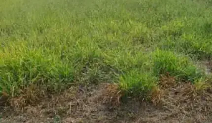Terreno à venda na Rua Luiz Levorato, Jardim Marabá, Bauru, 450 m2 por R$ 250.000