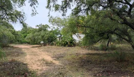 Terreno à venda, 11701 m² por R$ 250.000,00 - Planalto Nossa Senhora da Conceição - Conde/PB