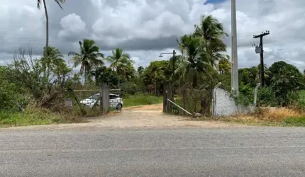 Sítio Rural à venda, Centro, Alhandra - .