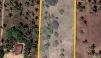 Terreno à venda, 12.000 m² por R$ 210.000 - Jardim Primavera - Conde/PB