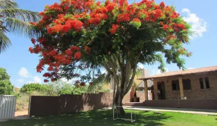Casa com 3 dormitórios à venda, 460 m² por R$ 890.000,00 - Praia de Carapibus - Conde/PB