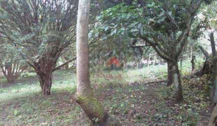 Chácara com 2 dormitórios à venda, 8000 m² por R$ 900.000,00 - Putim - São José dos Campos/SP