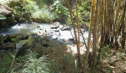 Vendo terreno em Itatiaiuçu de 2.000m²com excelente localização!