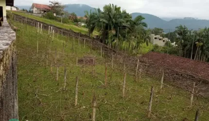 Terreno à venda na Vila Nova, Ascurra  por R$ 262.315