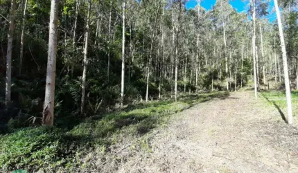 Chácara / sítio à venda no Estrada das Areias, Indaial  por R$ 430.000