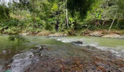 Chácara / sítio à venda na Zona Rural, Apiúna  por R$ 800.000
