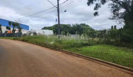 Terreno a venda.