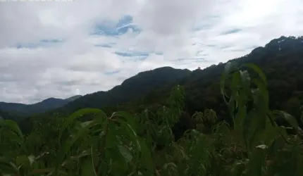 Chácara para Venda em Centro Campo Largo-PR