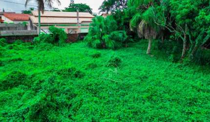 Terreno Amplo à venda , ,   no bairro Stella Maris, 200 metros da praia, Peruíbe-SP