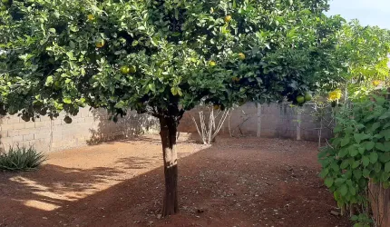 Casa Custódio Pereira 4 Quartos Amplo Quintal
