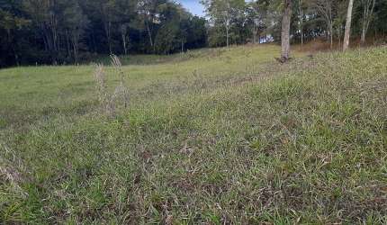 Sítio Municipio de Nova Ponte 1,068 Alqueires, na Beira da Represa