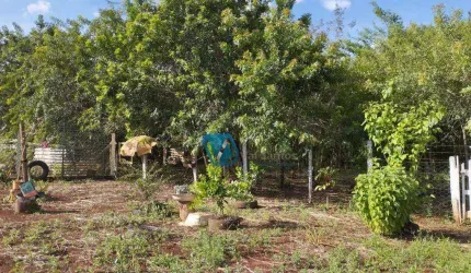 Terreno à venda, 1000 m² por R$ 180.000,00 - Conjunto Habitacional Jamile Dequech - Londrina/PR