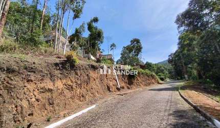 Terreno à venda, 384 m² por R$ 310.000,00 - Cônego - Nova Friburgo/RJ