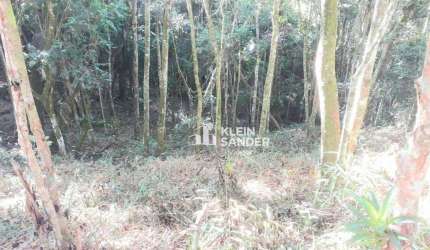 Terreno à venda, 658 m² por R$ 210.000,00 - Cônego - Nova Friburgo/RJ