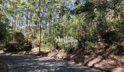 Terreno à venda, 1833 m² por R$ 325.000,00 - Cascatinha - Nova Friburgo/RJ