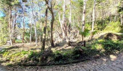 Terreno à venda, 1400 m² por R$ 150.000,00 - Lumiar - Nova Friburgo/RJ