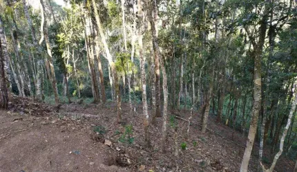 Terreno à venda, 404 m² por R$ 250.000,00 - Cônego - Nova Friburgo/RJ