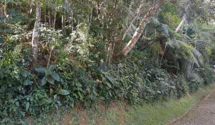 Terreno à venda, 2345 m² por R$ 320.000,00 - Mury - Nova Friburgo/RJ
