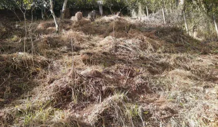 Terreno à venda, 495 m² por R$ 270.000,00 - Cônego - Nova Friburgo/RJ