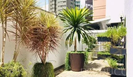 Apartamento com 3 dormitórios à venda, 245 m² por R$ 1.350.000,00 - Cambuí - Campinas/SP