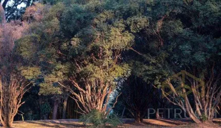 Terreno Residencial à venda, Tanquinho Velho, Jaguariúna - TE2032.