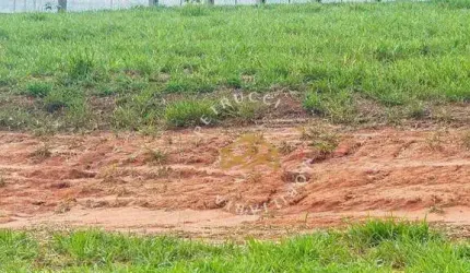 Terreno à venda, 364 m² por R$ 600.000,00 - Loteamento Serena Campinas - Campinas/SP