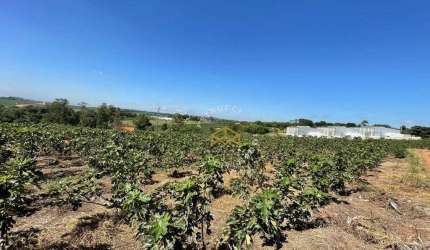 Área à venda, 45500 m² por R$ 4.880.000,00 - Jardim São Domingos - Campinas/SP