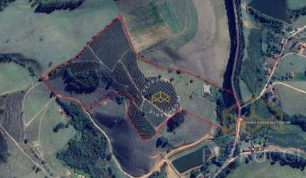 Sítio com 2 dormitórios à venda, 193600 m² por R$ 2.200.000,00 - Bairro Servinho - Ouro Fino/MG