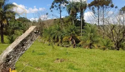 Sítio Residencial à venda, Centro, Serra Negra